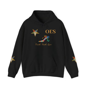 OES Hoodie - Faith Truth & Love with The Colorful Eastern Star - Bricks Masons
