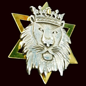 I said Leon Judah Rastafari Silver and Duble Gold 4 Cm Art 1341 - Bricks Masons