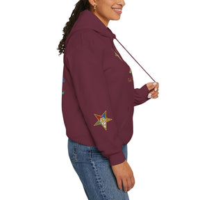 OES Hoodie - Faith Truth & Love with The Colorful Eastern Star - Bricks Masons