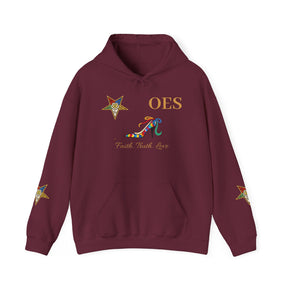 OES Hoodie - Faith Truth & Love with The Colorful Eastern Star - Bricks Masons