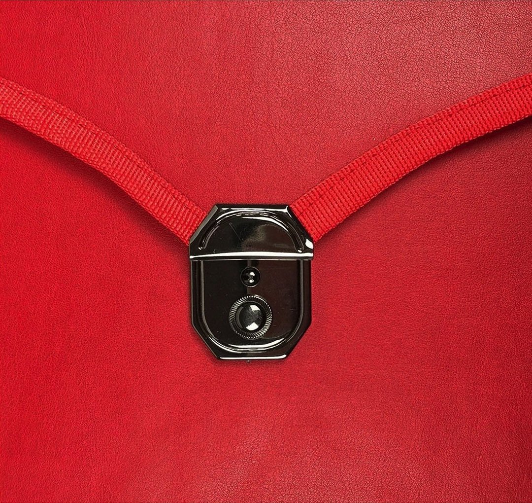 Master Mason Blue Lodge Apron Case - Multiple Colors & Sizes Leather Provincial - Bricks Masons